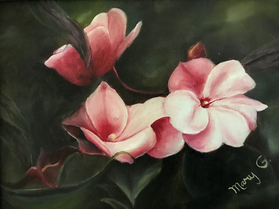 Pink Impatiens Flower Original Oil Painting, Mothers Day Gift