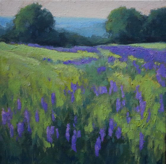 Spring with Lupines