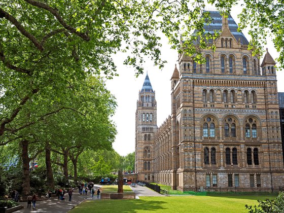 Natural History Museum in Springtime
