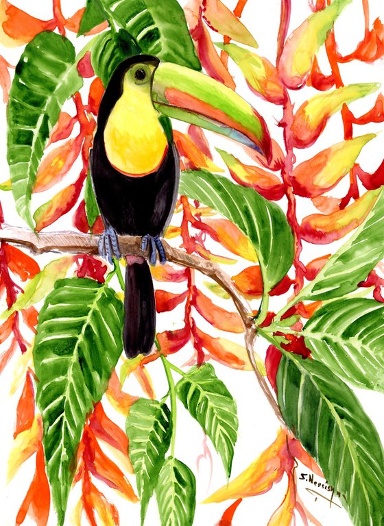 Toucan in the Jungle