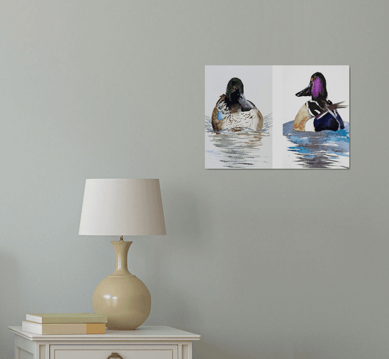Diptych 2 Wild drakes Mallard