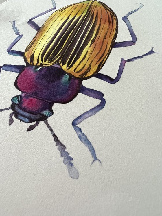 Golden beetle. Original watercolour artwork.