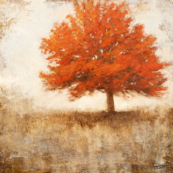 Red Maple Tree 251118