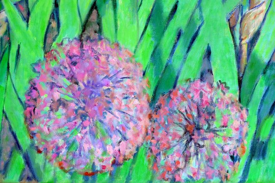 Irises dancing in the sun