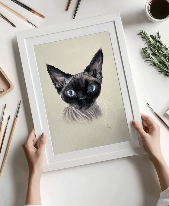 Portrait of sphynx with "Penetrating glance"
