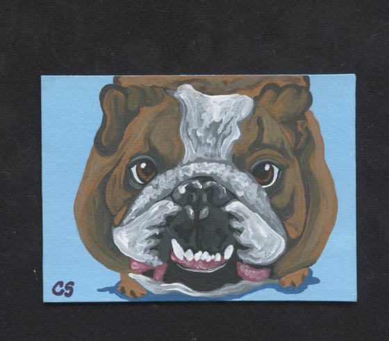 ACEO ATC Original Miniature Painting English Bulldog Pet Dog Art-Carla Smale