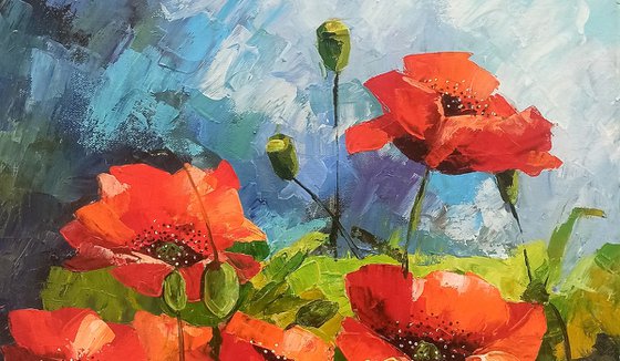 Red poppies