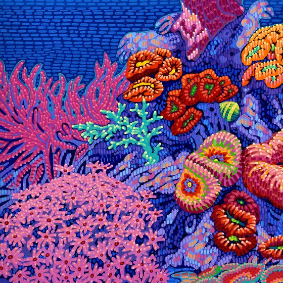 Coral Garden