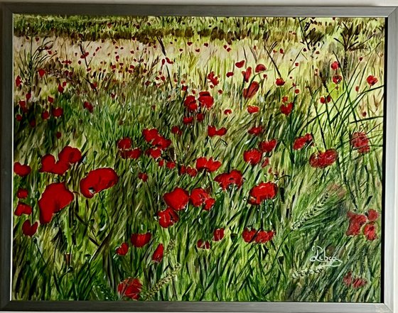 Red poppies