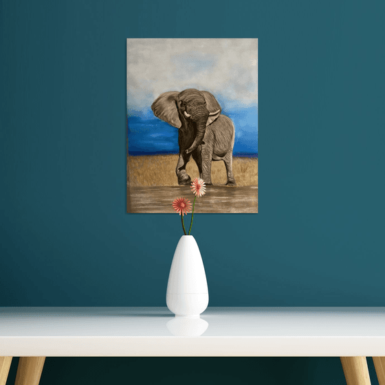 African elephant