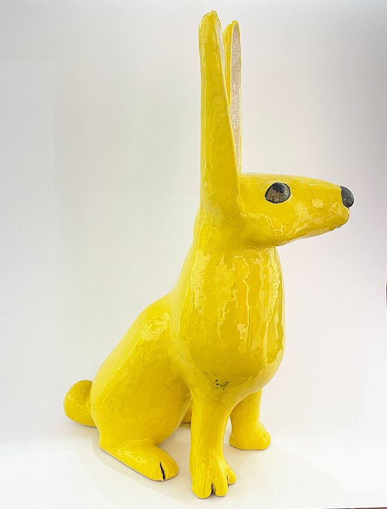 Yellow rabbit