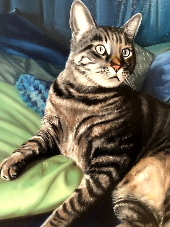 Intense Curiosity - Oil Cat Portrait