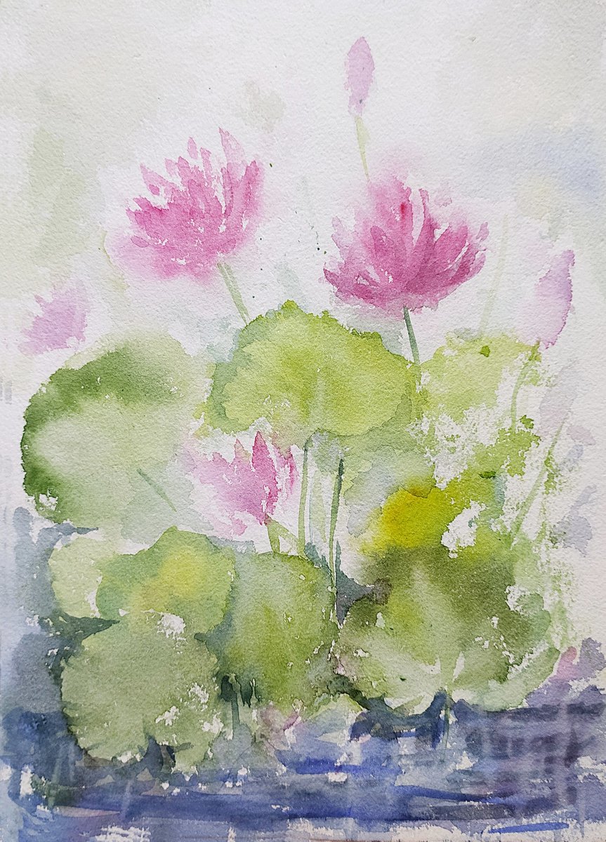 Misty water lilies - 2 Watercolor on paper 11.2x 8.2 by Asha Shenoy