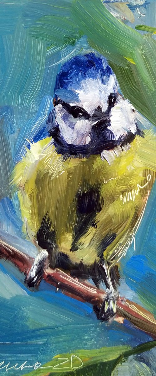 Chickadee bird #2 by Tatiana Gogolkina