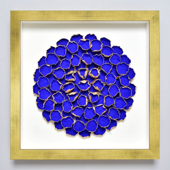 Bloom #18