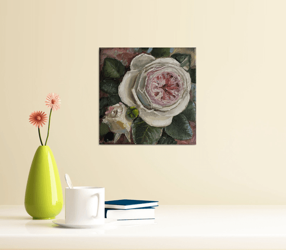 Pink roses still life