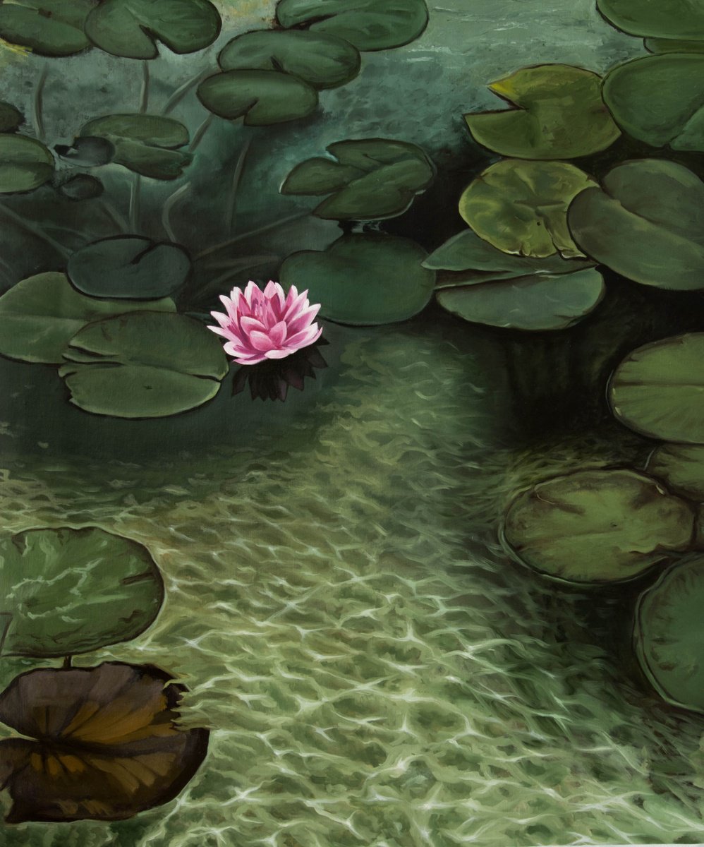 Photorealistic Botanical Oil Painting By Inna Medvedeva, 30 X 36, Water Lily, Original Artwork