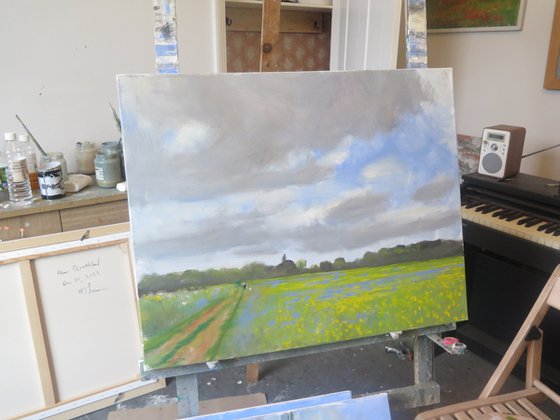 Water Meadow, May 23