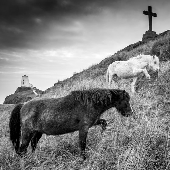 Llanddwyn Island, Anglesey, North Wales. ( Square Print )