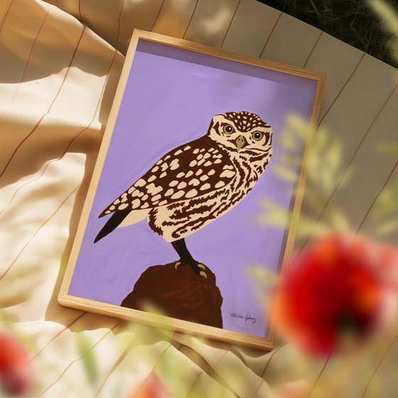 Owl