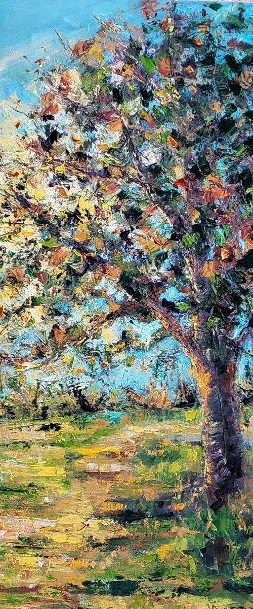 Autumn Glory by Niki Purcell