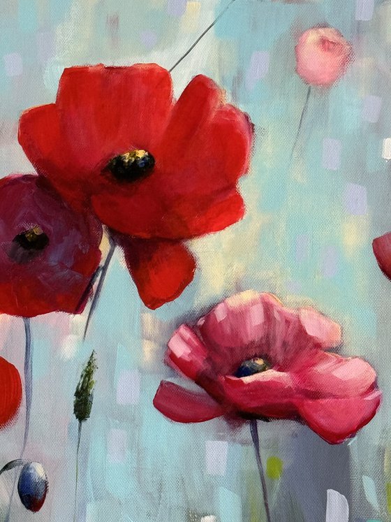 Poppies Land 12