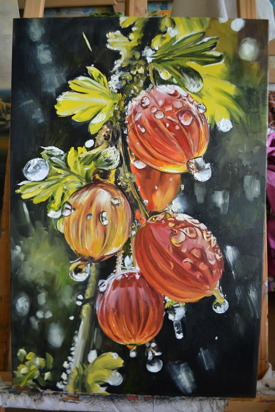 Gooseberry Lanterns