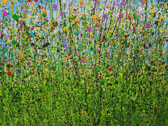 Rainbow Rhapsody Meadow