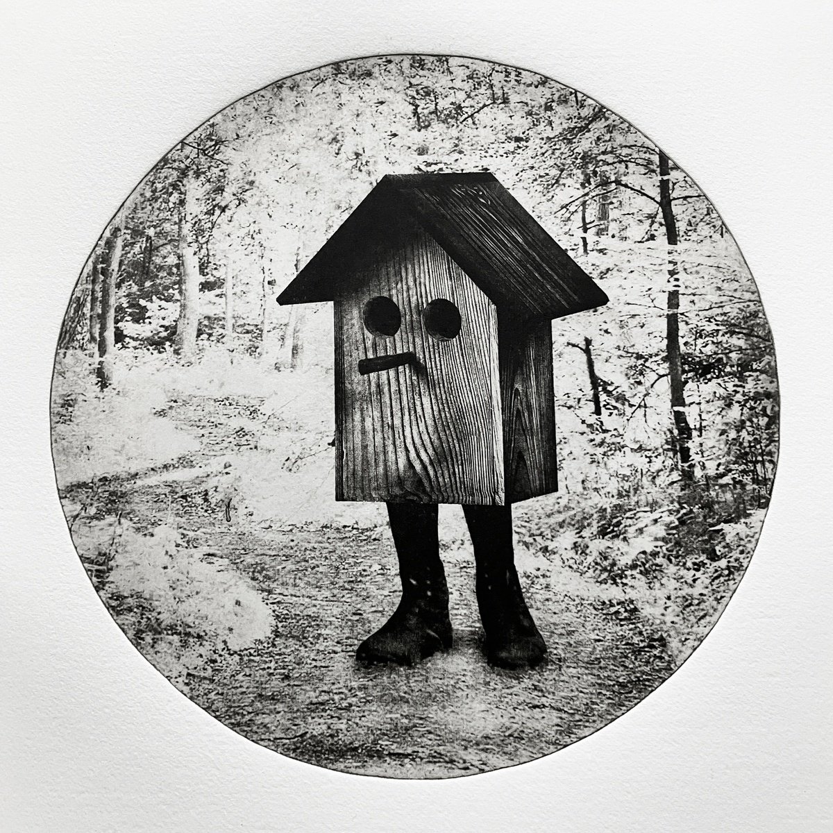 Surrealistic Portrait Etchings & Engravings By Jaco Putker, 15 X 16, Birdbox I, Original Artwork