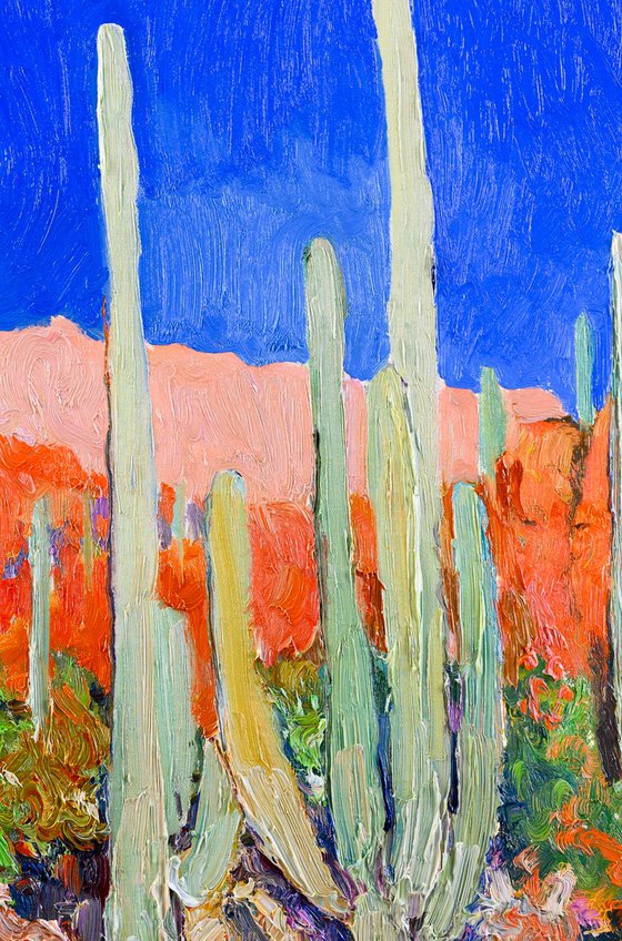 Saguaro Cactuses in the Desert