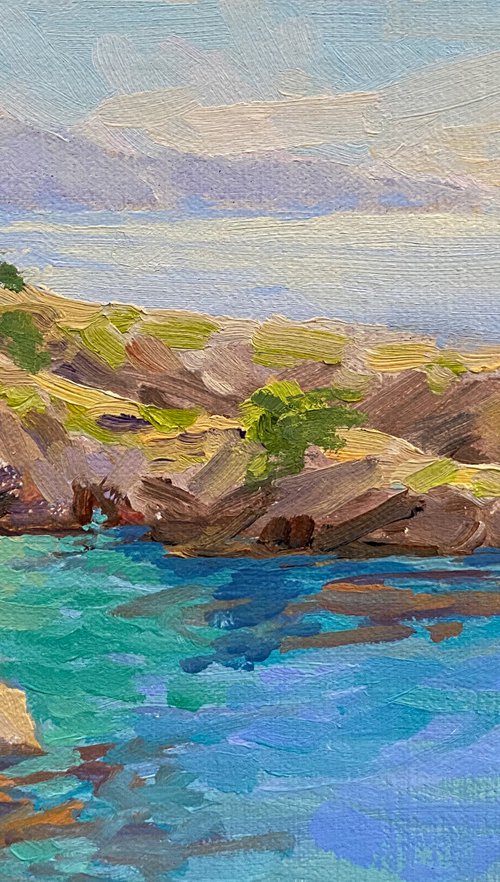 Emerald Blue of China Cove, Point Lobos by Tatyana Fogarty