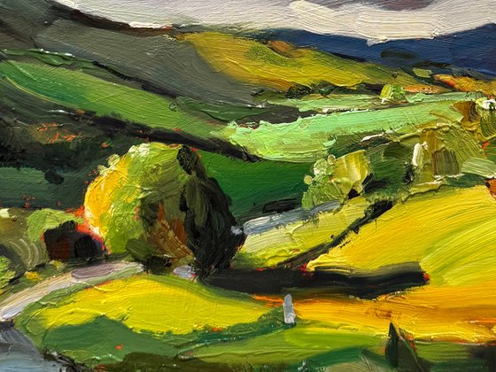 Summer landscape 9