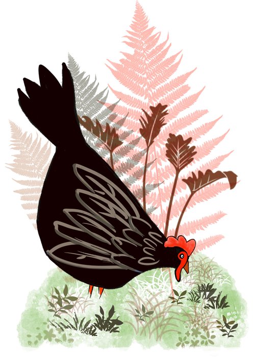 chicken little ! by Stuart Wright