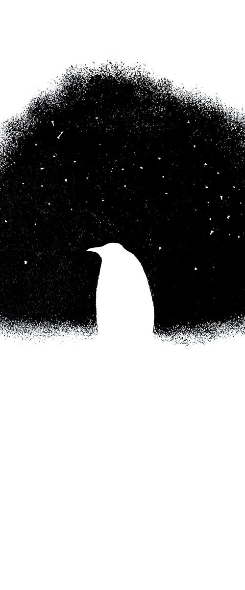 Night penguin by Natalia Pastuszenko