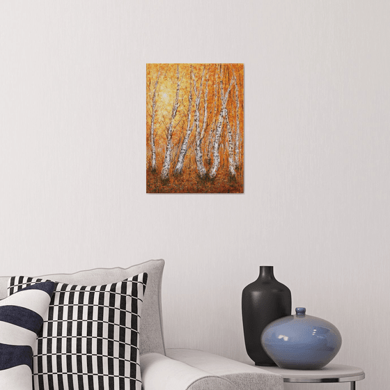 Autumn birch trees