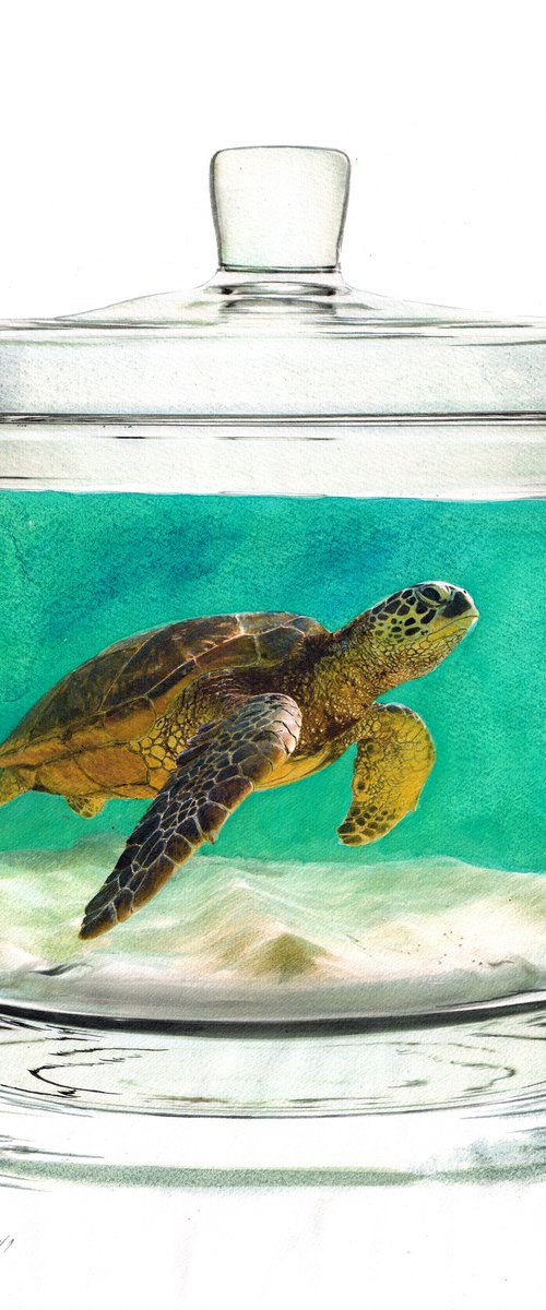 Turtle in Jar X by REME Jr.
