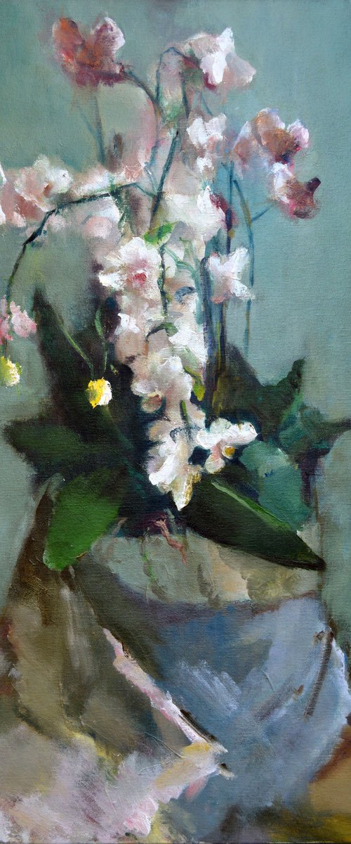 White orchid by Elena Lukina