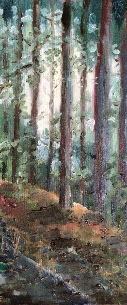 Tall trees, Longleat, by Julian Lovegrove Art