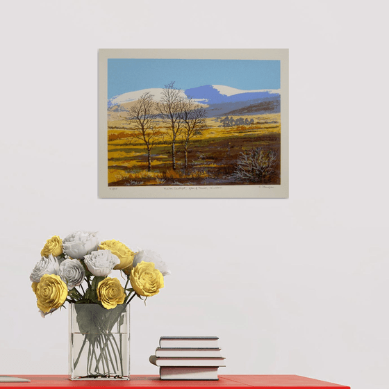 Winter Sunlight, Glen of Imaal