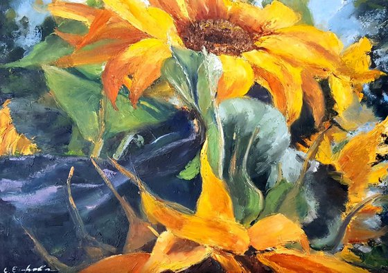 Sun flowers