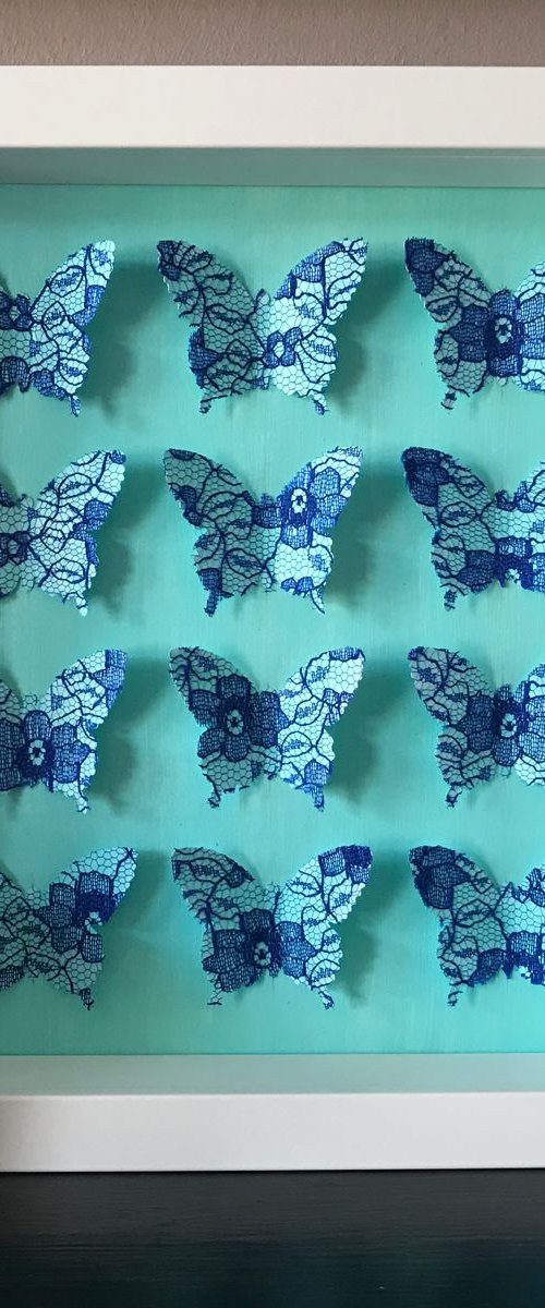 Box of beauties (Blue Lace) by Hernan Reinoso