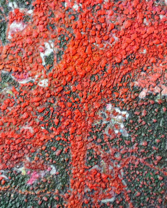 Green &amp; Coral Magnolia