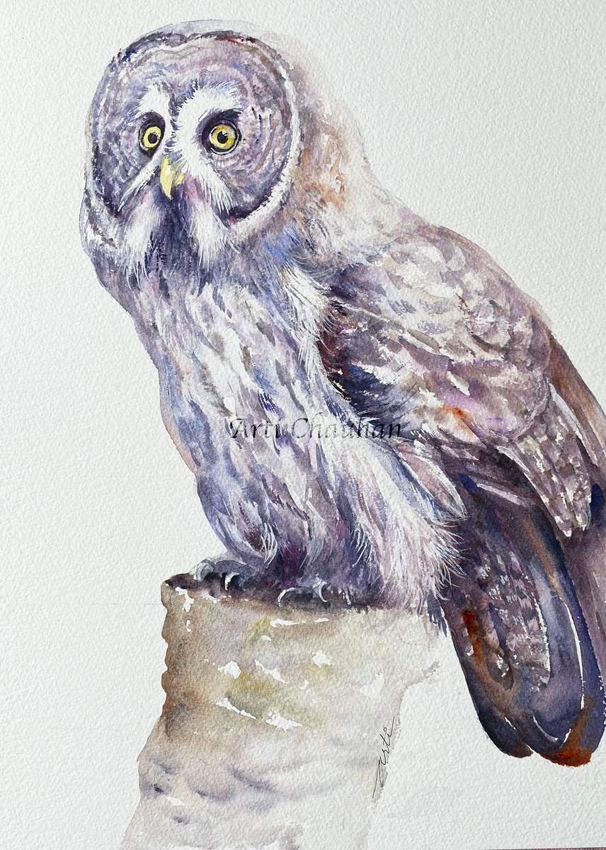 Expressive Animal Watercolour By Arti Chauhan, 10 X 14, Great Grey Grys, Original Artwork