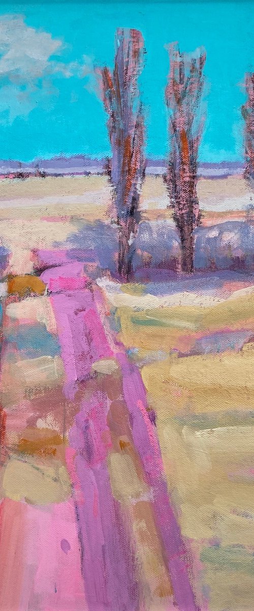 Joy in the Day by Chrissie Havers