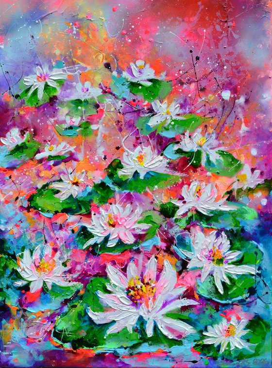 White Water Lilies on the Pond