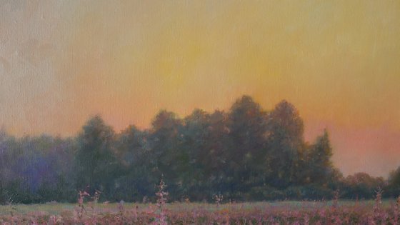 Sunset Over The Fireweed Field - summer painting landscape