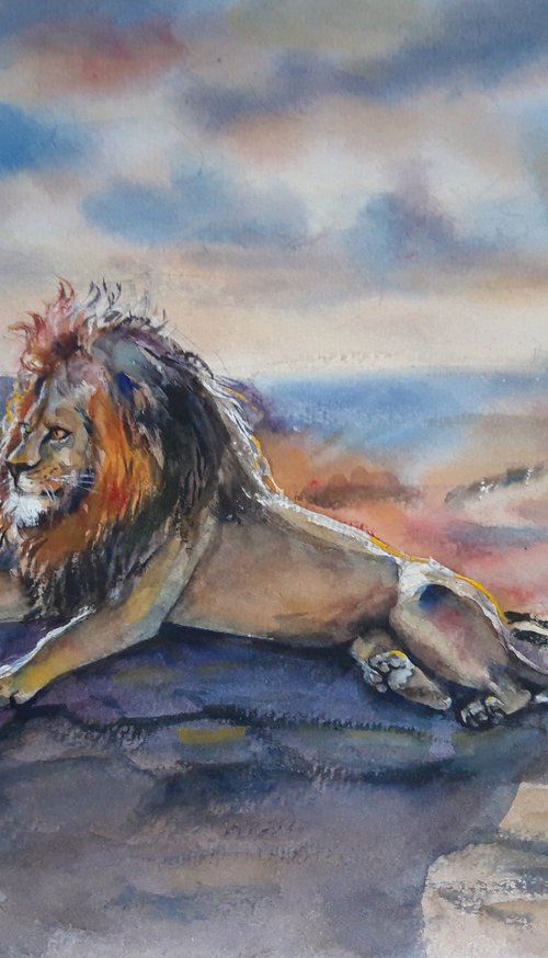 Lion, Wildlife, Big Cat by Bozhidara Mircheva