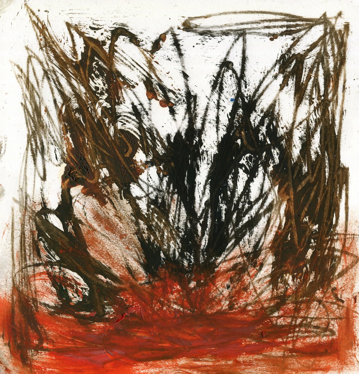 Abstract Botanical Pencil Drawing By Elizabeth Anne Fox, 11 X 11, Sheltered By Trees (3), Original Artwork