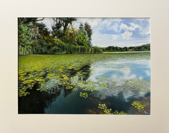 Water Lilies and Cloud Reflections