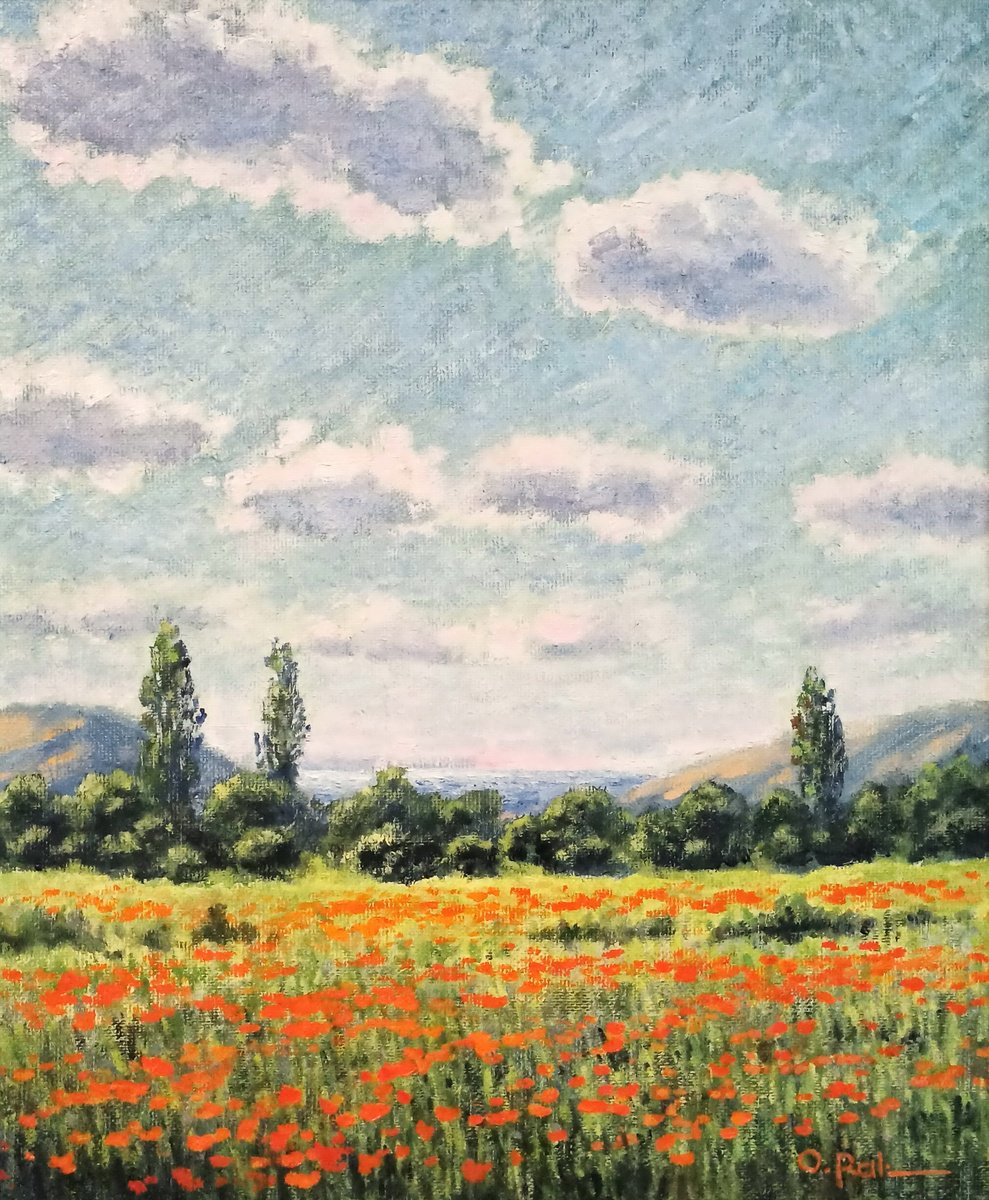 Poppy field by Oleh Rak